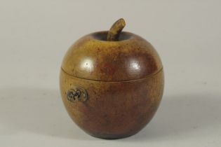 A GOOD PAINTED APPLE TEA CADDY. 5ins.