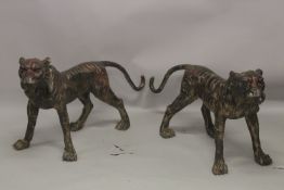 A SUPERB LARGE PAIR OF BRONZE STANDING TIGERS. 44ins long x 25ins high.