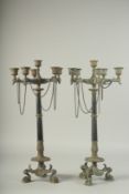 A GOOD PAIR OF 19TH CENTURY METAL AND BRONZE SIX LIGHT CANDELABRA on curving claw feet. 20ins high.