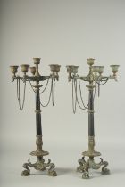 A GOOD PAIR OF 19TH CENTURY METAL AND BRONZE SIX LIGHT CANDELABRA on curving claw feet. 20ins high.