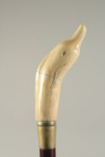 A CARVED BONE HANDLED WALKING STICK "DOLPHIN".