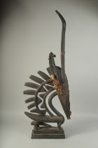 A CI WARA BAMANA ANTELOPE HEADDRESS. 42ins high.