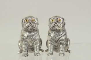 A PAIR OF SILVER PLATED DOG SALT AND PEPPERS. 1.75ins.
