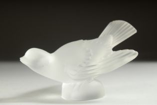 A LALIQUE GLASS BIRD. Etched Lalique France. 5.25ins high.