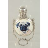 A VICTORIAN SILVER PUG DOG PERFUME BOTTLE. London 1887.