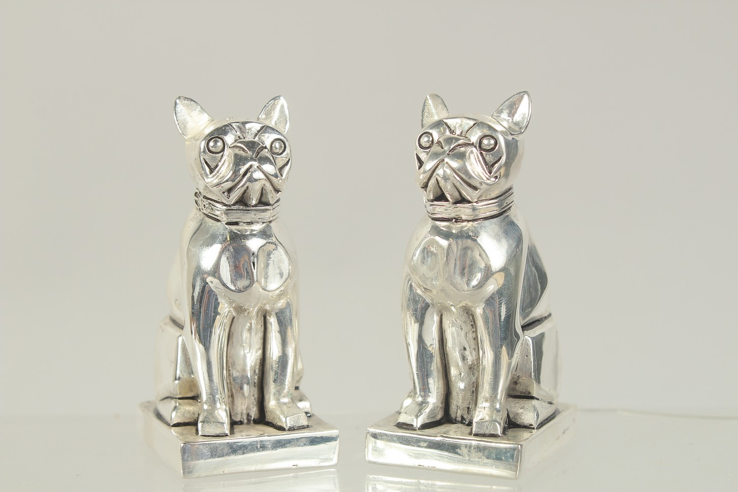 A PAIR OF SILVER PLATED BULL DOG SALT AND PEPPERS.