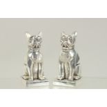 A PAIR OF SILVER PLATED BULL DOG SALT AND PEPPERS.