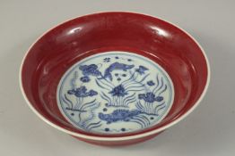 A CHINESE COPPER RED AND BLUE & WHITE BOWL, the interior painted with fish and algae. 22cms