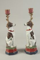 A PAIR OF PORCELAIN SEATED DOG CANDLESTICKS on rectangular bases.