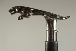 A CHROME HANDLED WALKING STICK ' JAGUAR'.