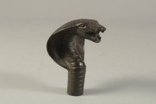 A BRONZE WALKING STICK HANDLE "COBRA". 10cms.