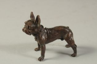 A JAPANESE BRONZE BULLDOG. 6cms.