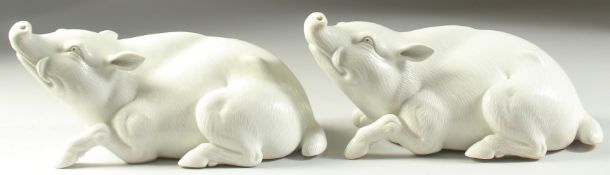 TWO JAPANESE HIRADO PORCELAIN WILD BOAR, with finely carved fur detail, each 25cm long.