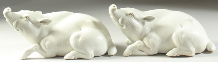 TWO JAPANESE HIRADO PORCELAIN WILD BOAR, with finely carved fur detail, each 25cm long.