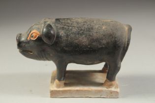 A CHINESE TOMB SACRIFICE POTTERY FIGURE OF A PIG, possibly Han Dynasty, 16cm long.