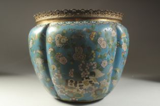 A LARGE JAPANESE BLUE GROUND CLOISONNE LOBED BOWL, with fine floral decoration and animals on