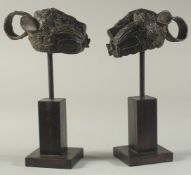 A PAIR OF BINI / BENIN AFRICAN BRONZE MASQUE LEOPARD DANCE MASKS, elevated on wooden stands, the