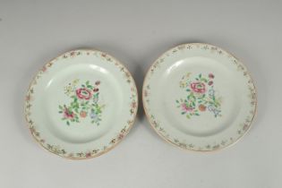 A PAIR OF 19TH CENTURY CHINESE FAMILLE ROSE PORCELAIN PLATES, 23cm diameter.