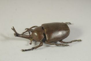 A BRONZE OKIMONO OF A STAG BEETLE, with hinged lid, 9cm long.