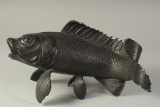 A JAPANESE MEIJI PERIOD LIFE-SIZE BRONZE CARP, 33cm long.