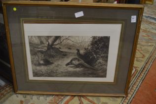 Archibald Thorburn, cock and hen pheasants, black and white print, pencil signed together with