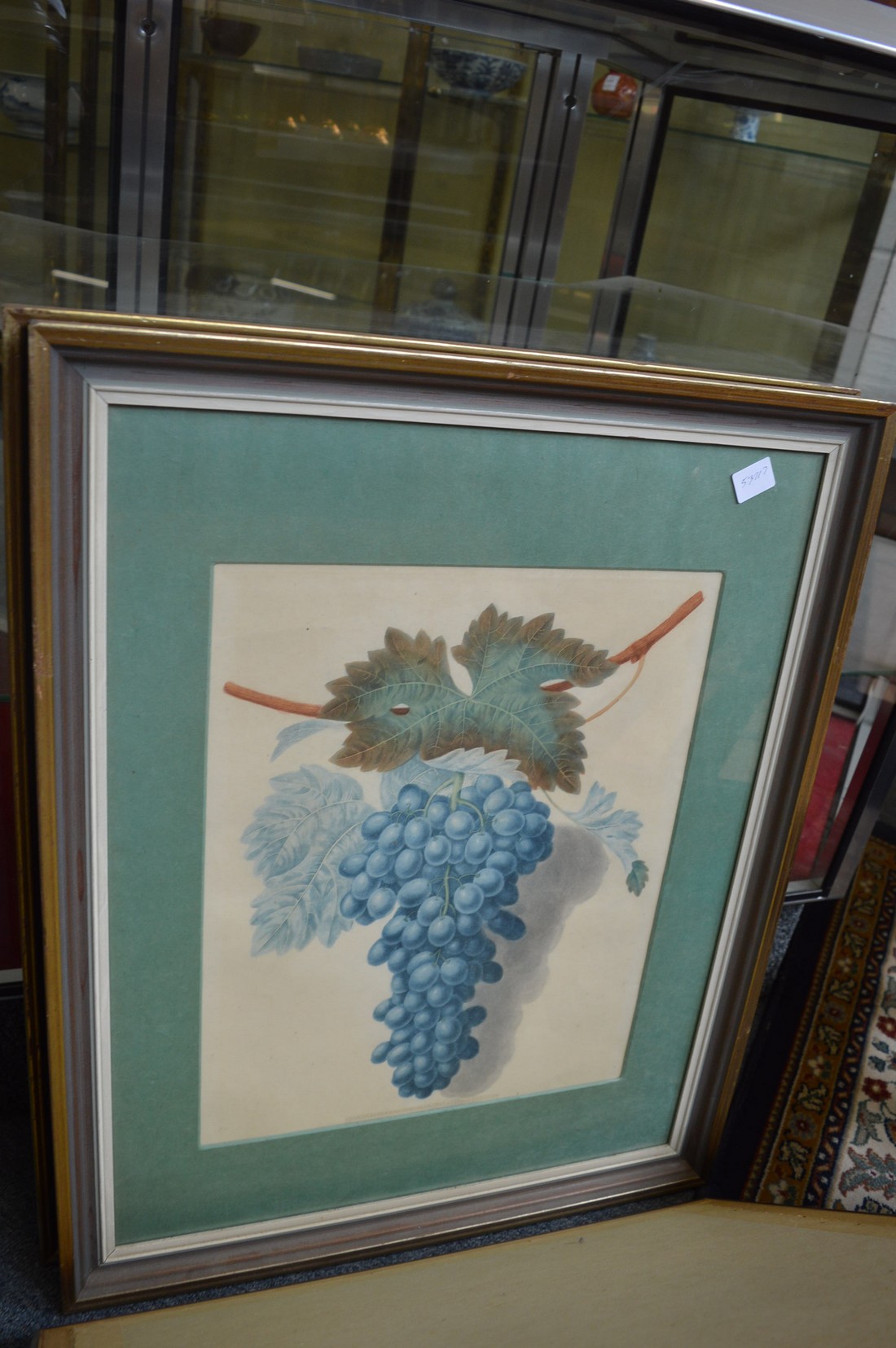 A set of four colour prints depicting bunches of grapes. - Image 3 of 4