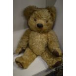 A Chad Valley teddy bear.