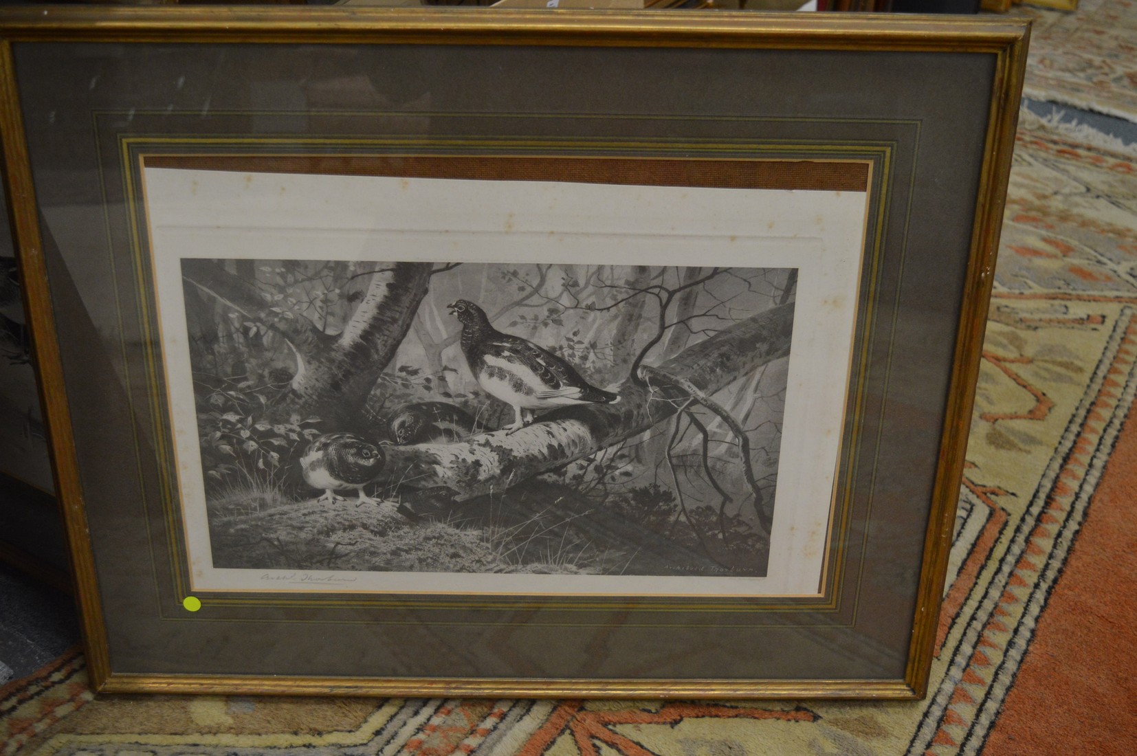 Archibald Thorburn, cock and hen pheasants, black and white print, pencil signed together with - Image 3 of 5