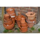 A quantity of terracotta plant pots.