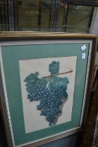 A set of four colour prints depicting bunches of grapes.