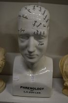 A large porcelain Phrenology head.