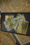 A case containing unframed oil paintings.