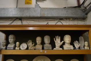 A good collection of Phrenology heads and related items.