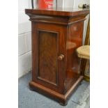 A pair of 19th century mahogany pedestal cupboards.