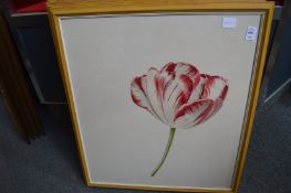 A set of seven limited edition colour prints depicting tulips.