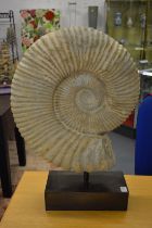 A very good and large ammonite on stand, ammonite 52cm high.