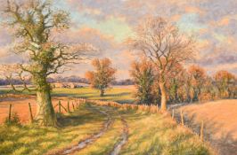 Mervyn Goode, 'Evening Skies and Long Shadows, November', oil on canvas, signed, inscribed verso,