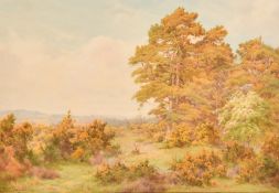George Marks (1857-1933), 'On Shere Heath, Surrey', watercolour, signed, 10" x 14.5" (26 x 37cm).
