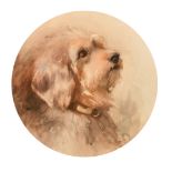 K. Mayer, study of a terrier, watercolour heightened with white, signed and dated 1910, 10.25" (