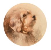 K. Mayer, study of a terrier, watercolour heightened with white, signed and dated 1910, 10.25" (