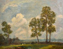 John Brown (20th Century), landscape view with trees and low cloud, oil on board, signed with