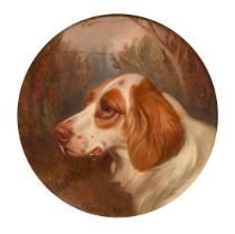 Colin Graem Roe (1858-1910), a head study of a dog, oil on board, signed and dated 98, 8.5" (21.5cm)