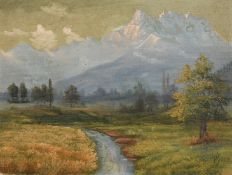 H. Gross (20th Century), alpine valley, possibly Switzerland, oil on canvas board, signed, 10" x