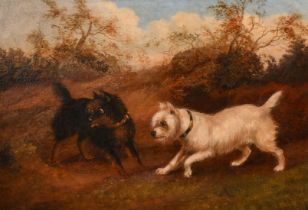 19th Century English School, terriers waiting by burrows, oil on canvas, 14" x 20" (36 x 51cm).