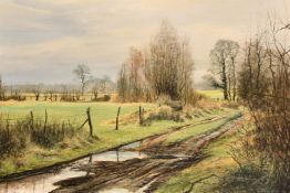 Mervyn Goode, a country track with an extensive landscape beyond, oil on canvas, signed, inscribed