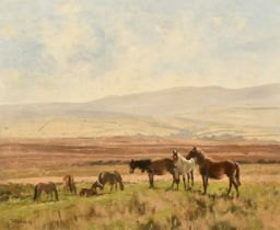 Walter Robin Jennings (1927-2005), horses in a landscape, oil on canvas, signed, 20" x 24" (51 x