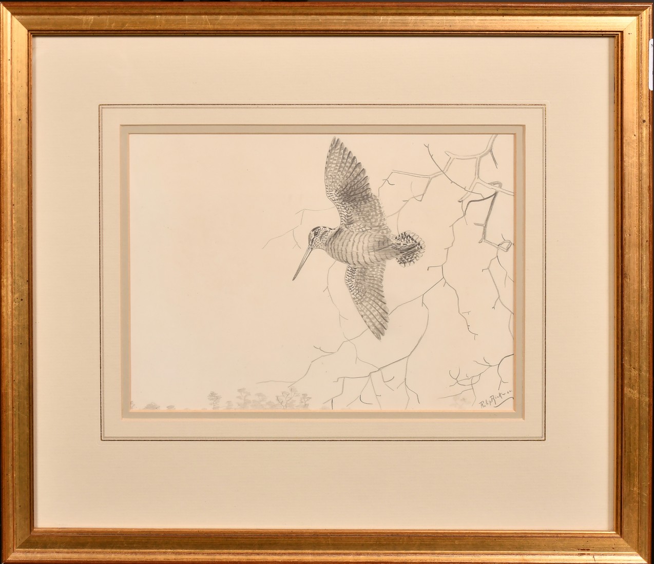 Philip Rickman (1891-1982), Woodcock in Flight, pencil, 6.5" x 9" (16.5 x 23cm). - Image 2 of 4