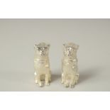A SMALL PAIR OF PLATED BULLDOG SALTS AND PEPPERS. 3.5cms high.