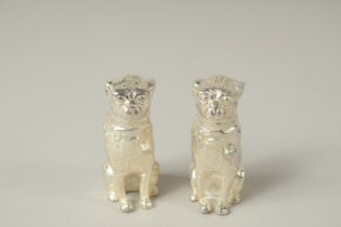 A SMALL PAIR OF PLATED BULLDOG SALTS AND PEPPERS. 3.5cms high.