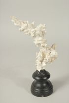 A CORAL SPECIMEN, 7ins high, on a stand.